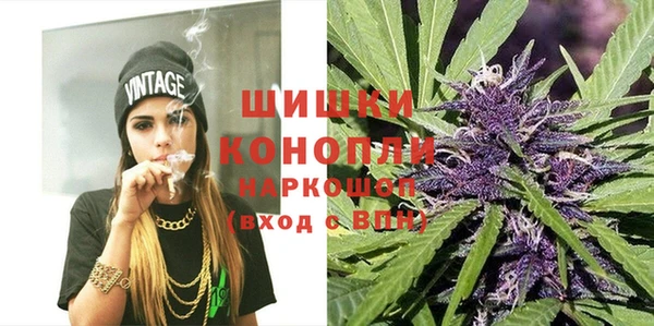 PSILOCYBIN Верхний Тагил