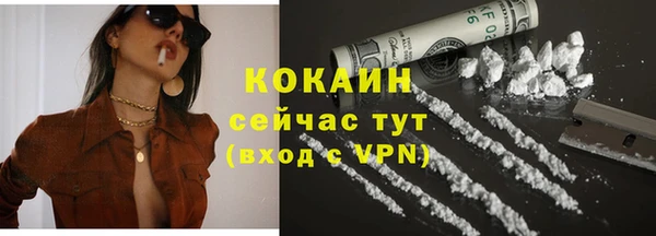 PSILOCYBIN Верхний Тагил