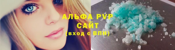 PSILOCYBIN Верхний Тагил