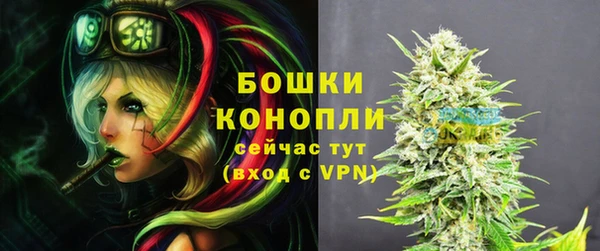 PSILOCYBIN Верхний Тагил