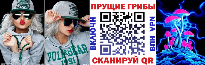 хочу наркоту  Льгов  Псилоцибиновые грибы мицелий 